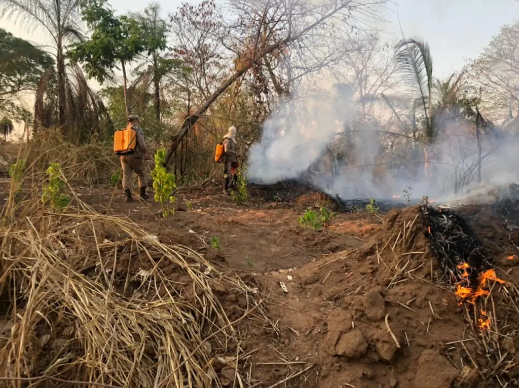 Incêndio na terra indígena Tadarimana, em Rondonópolis. (Foto: Corpo de Bombeiros)