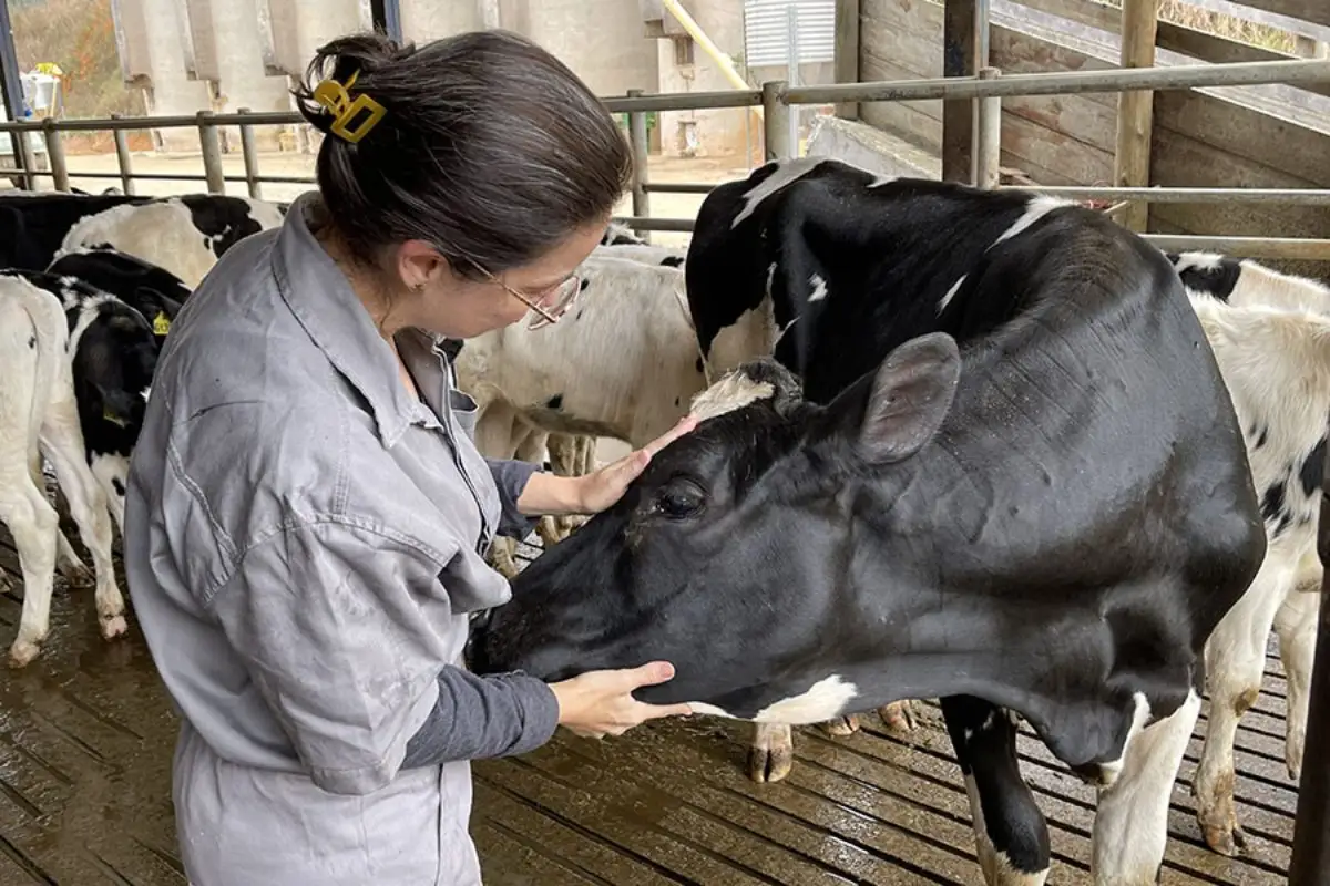 Bácteria causadora de ceratoconjuntivite causa dor, lacrimejamento e até cegueira. (Foto: Luísa Berg)