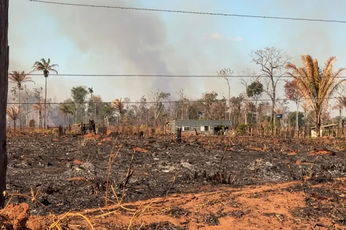 Produtores usam máquinas das próprias fazendas para abrir aceiros e tentar conter o fogo.