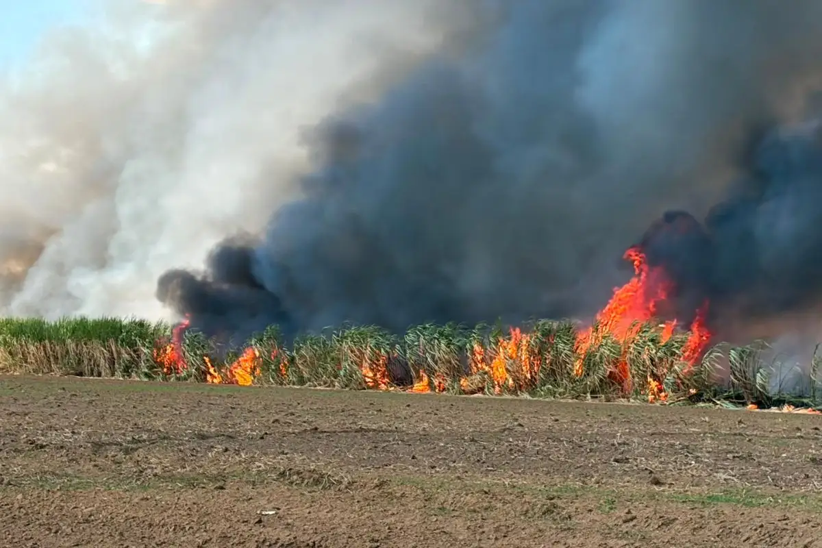 Incendiosem MT 2