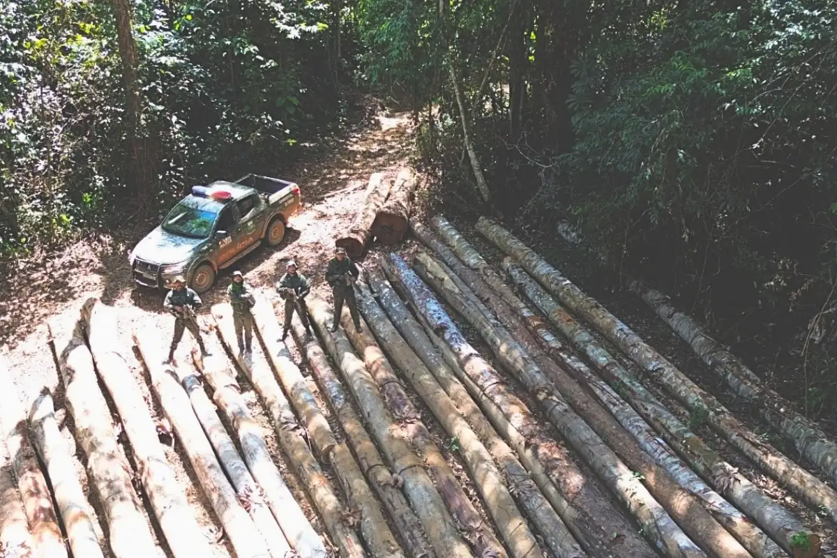 Desmatamento ilegal em propriedade rural mato-grossense foi identificado por monitoramento remoto. -Foto: Polícia Militar