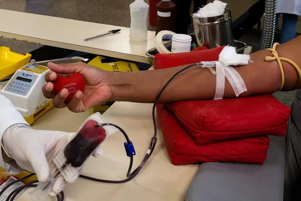 Doação de sangue é simples e feita rapidamente