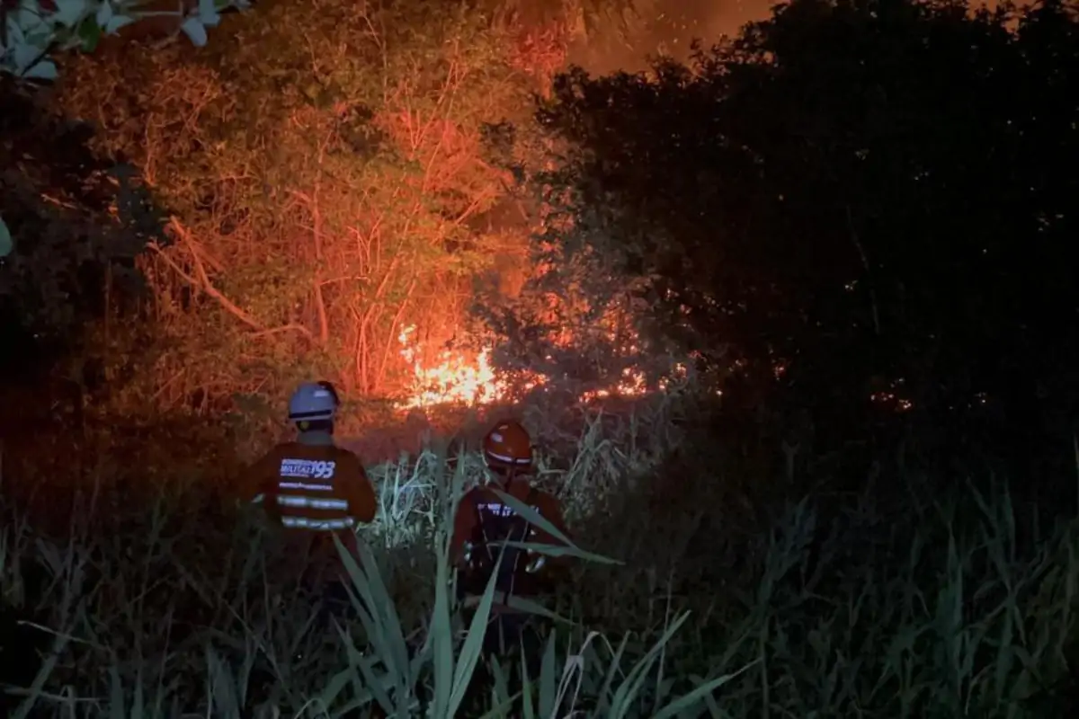 incendio nopantanal noite