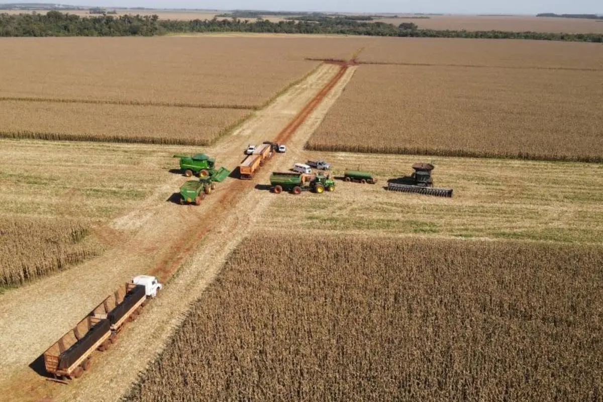 O problema cresce no campo e pode afetar a produtividade de culturas agrícolas. (Foto: Reprodução)