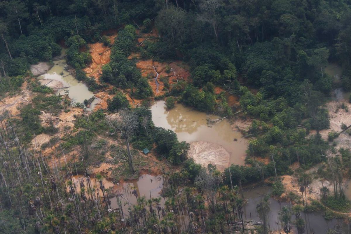 Foto terra indigena Yanomami