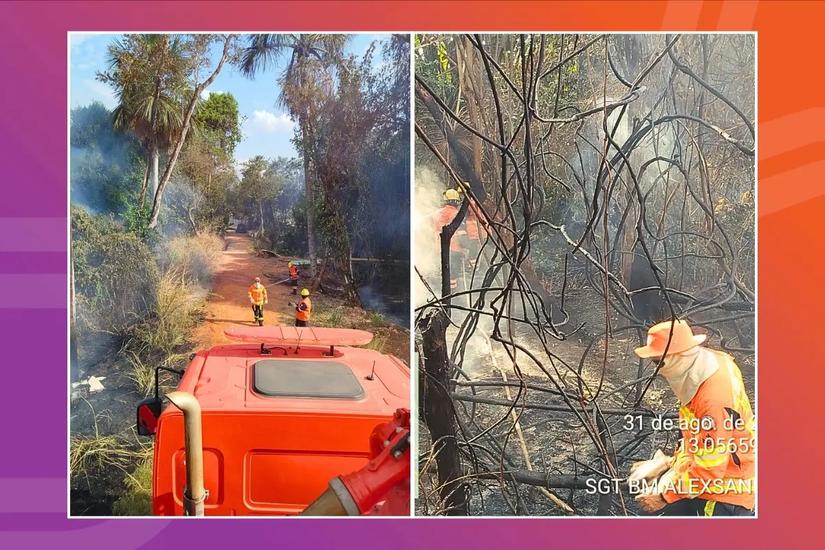 Incêndio florestal foi combatido em Lucas do Rio Verde com cerca de 10 mil litros de água. - Foto: Corpo de Bombeiros 