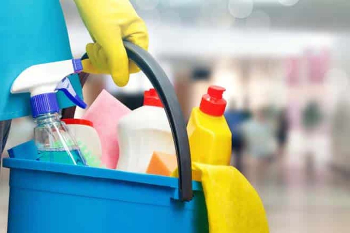 vagas de emprego produtos anvisa