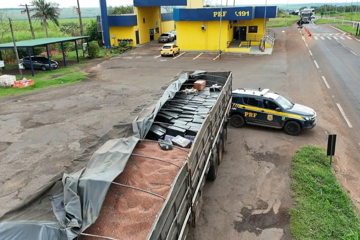 arma e maconha na BR 163 2