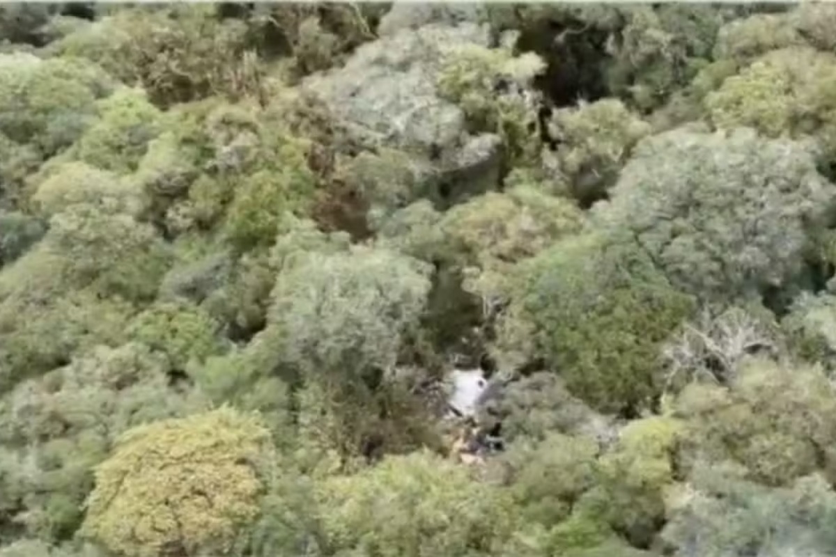 Aeronave foi localizada pela FAB em área de difícil acesso na Serra de Santa Catarina após cerca de 24 horas de buscas. (Foto: Reprodução/Globo)
