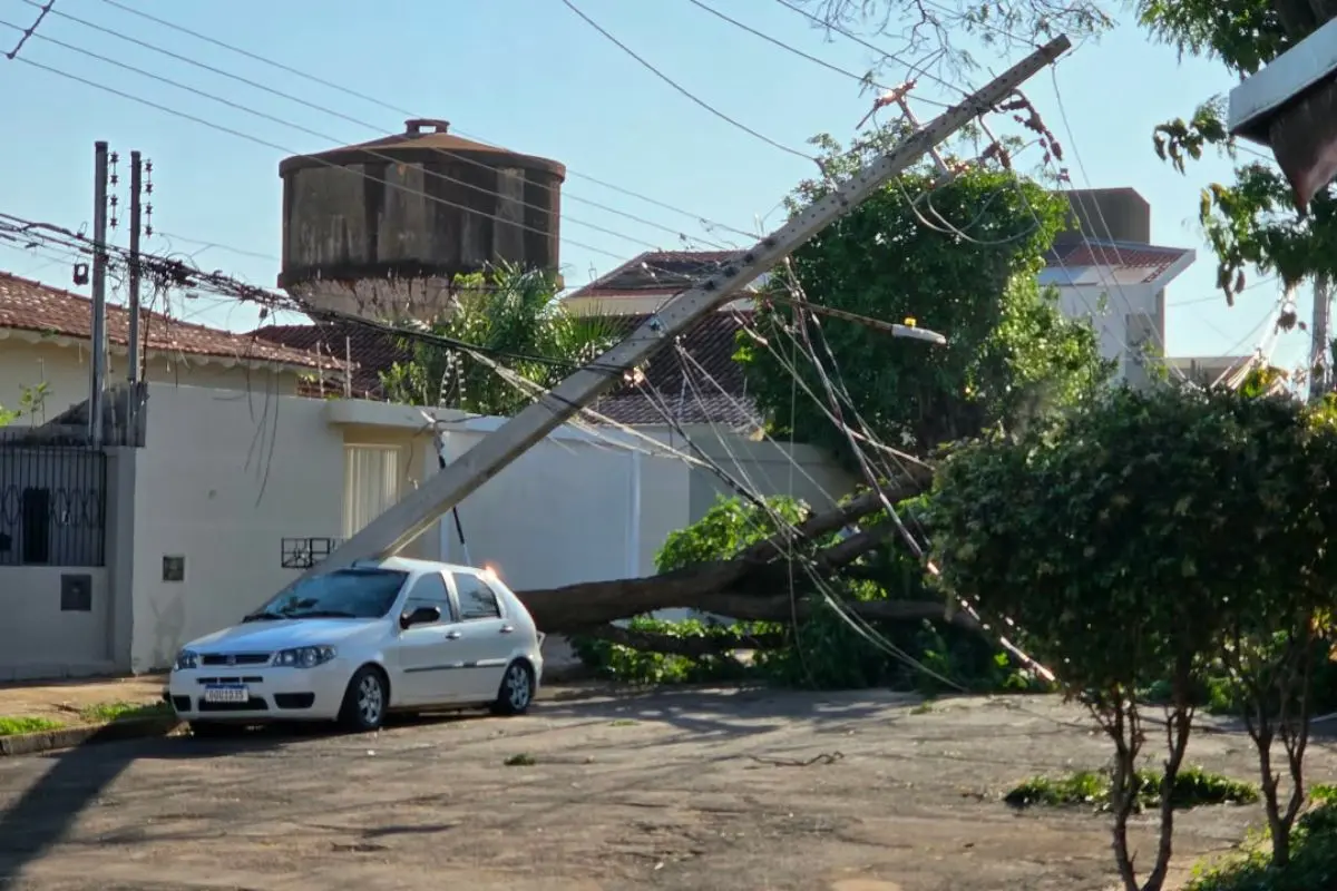 Campo Grande contabiliza estragos após temporal e avalia decretar situação de emergência. (Foto: Reprodução)