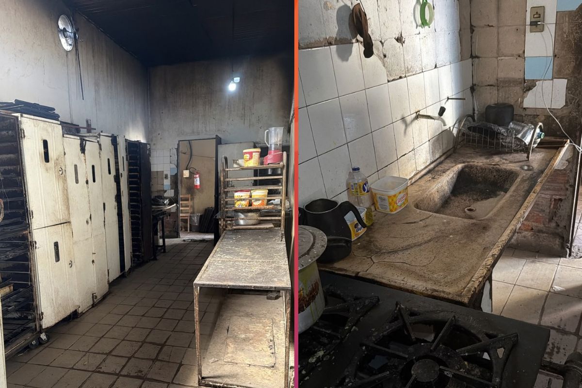 Fotos mostram as condições de higiene encontradas durante fiscalização em padaria no Jardim Independência. - Foto: Decon