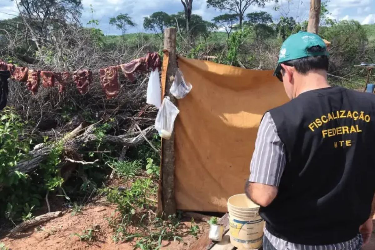 primeira pagina 30