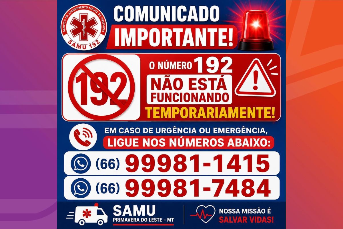 primeira pagina 65 1