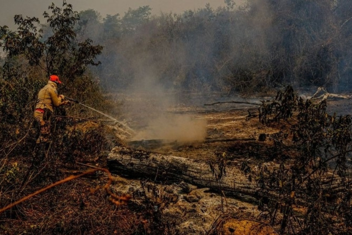 queimada mato grosso