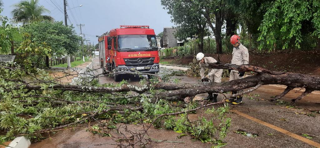 Bombeiros atendem quase 200 ocorrências de queda de árvores em MT