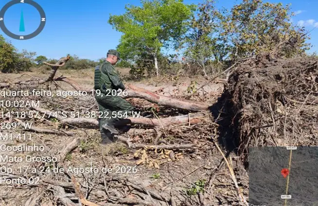 Fazenda amado batista