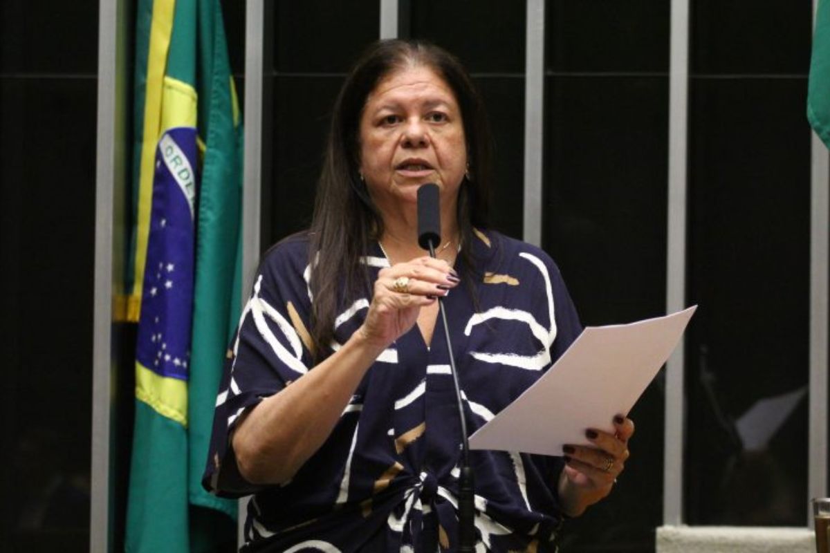 Laura Carneiro, relatora do projeto de lei. (Foto: Vinicius Loures/Câmara dos Deputados)